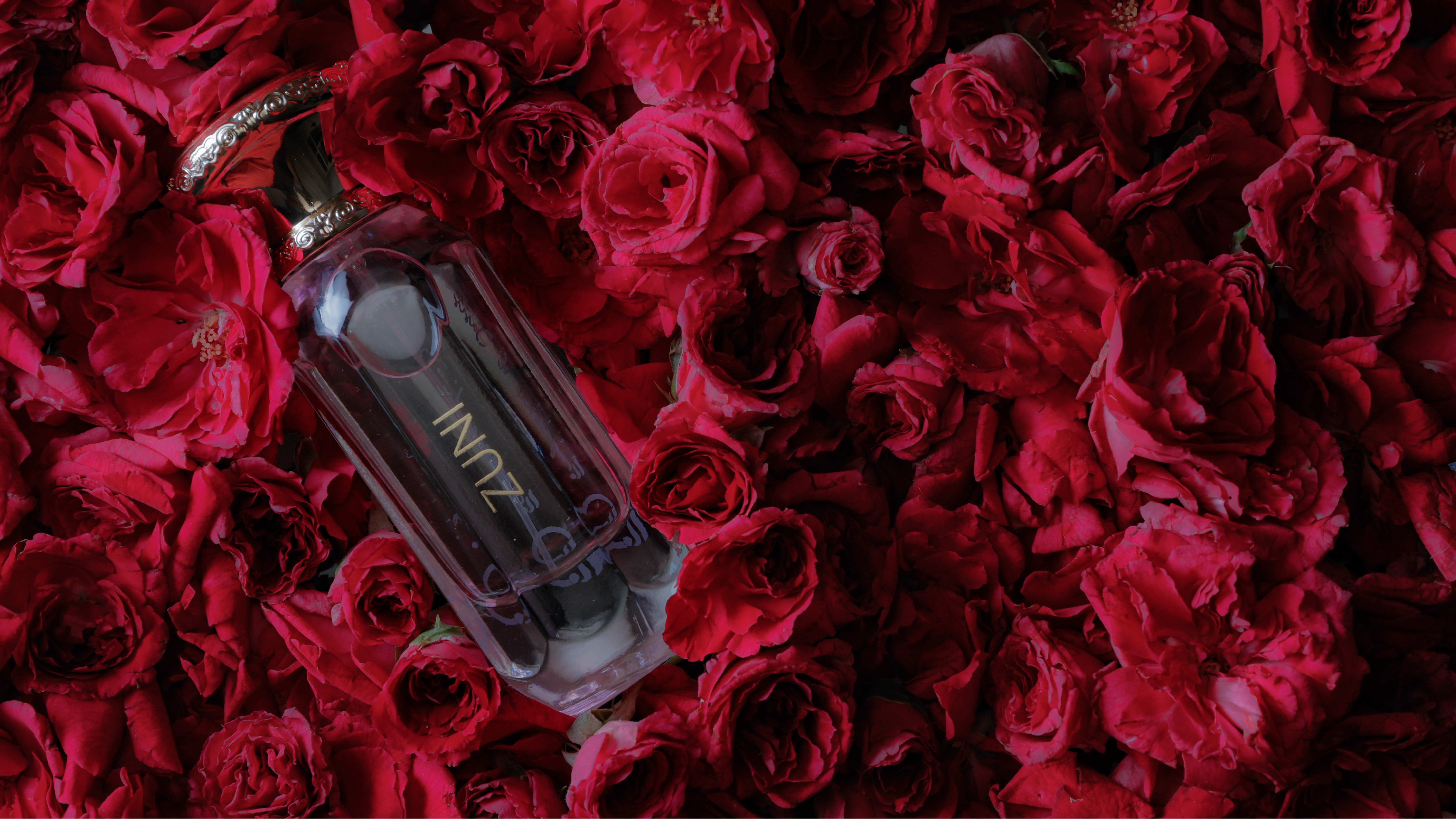 FO Dubai International Licensing